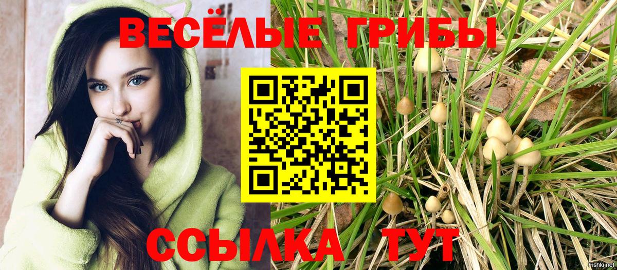 Псилоцибиновые грибы мухоморы Ржев